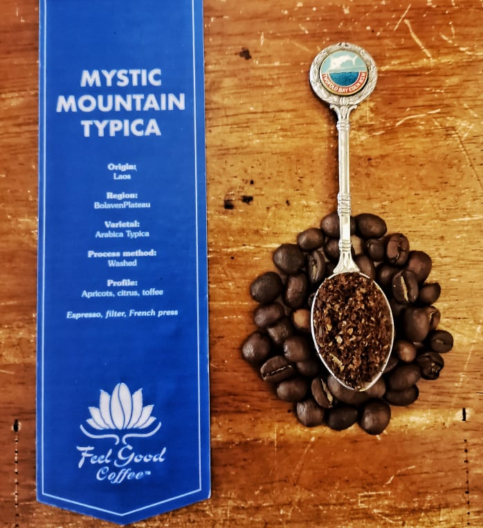 Mystic Mountain Typica Coffee Beans.