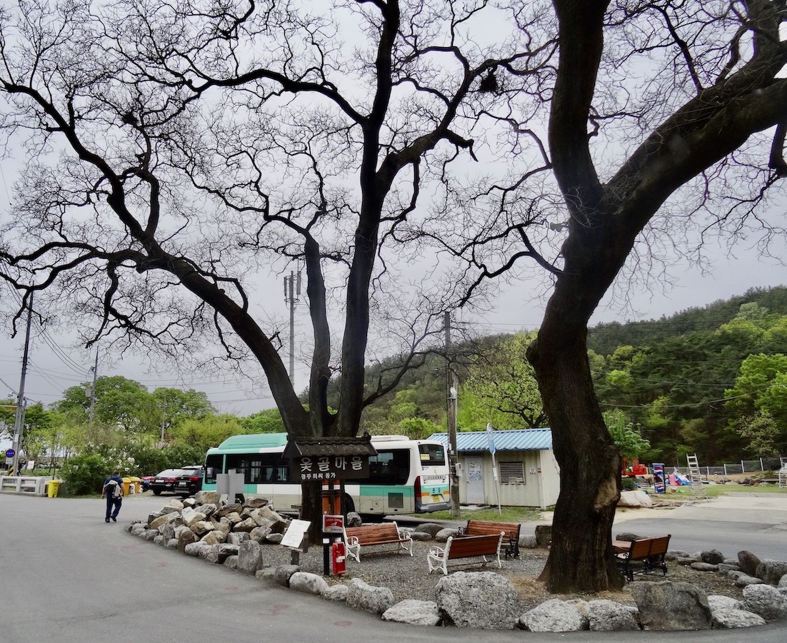 Bus stop Otgol Village.