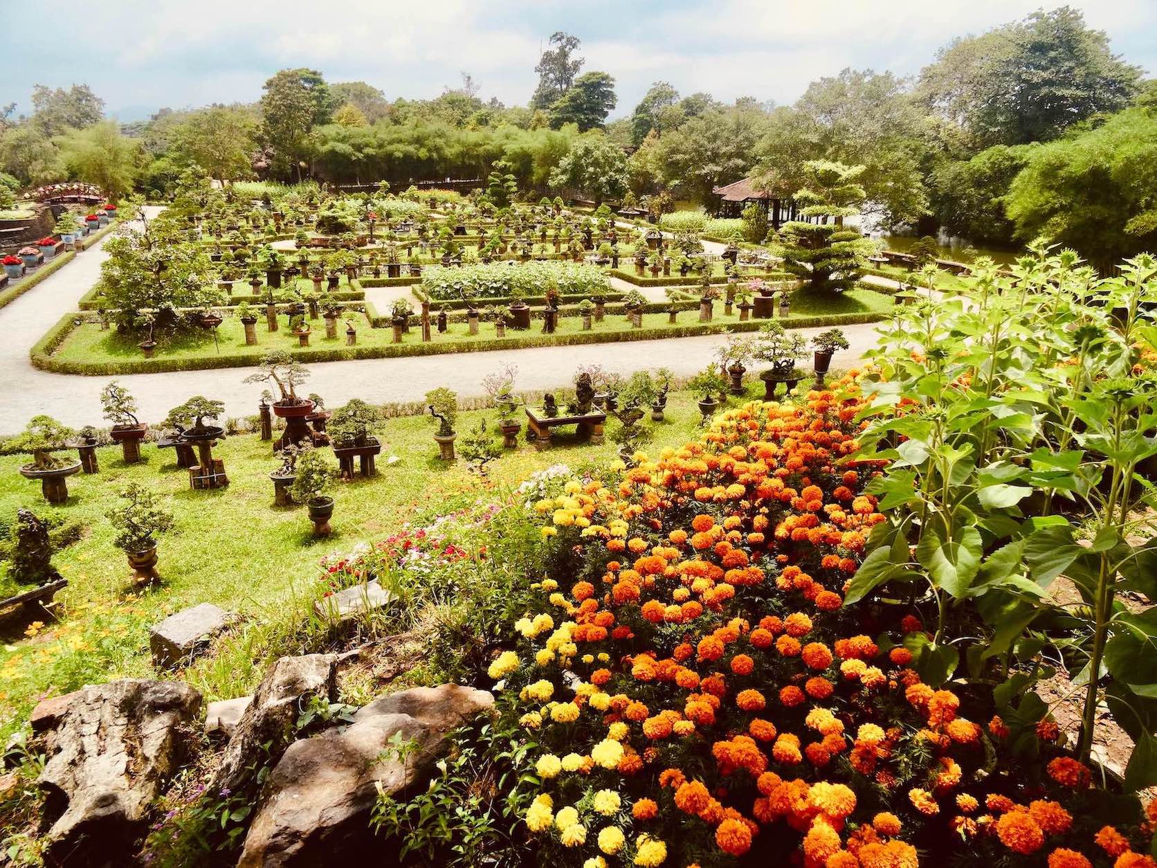 Bonsai Exhibition Garden Hue Vietnam