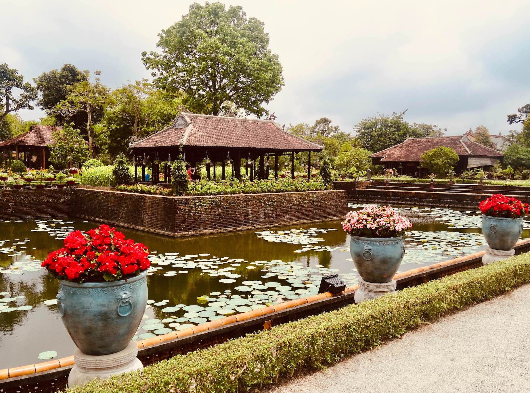 Bonsai Exhibition Garden Hue Vietnam
