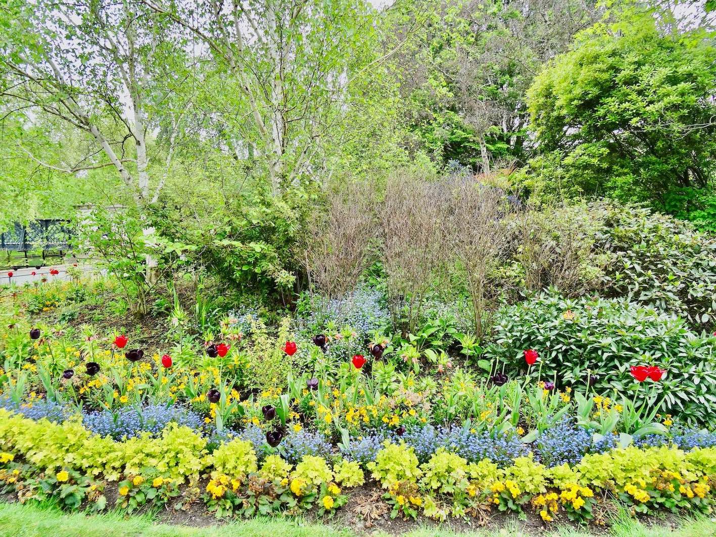 Spring flowers in Regent's Park London