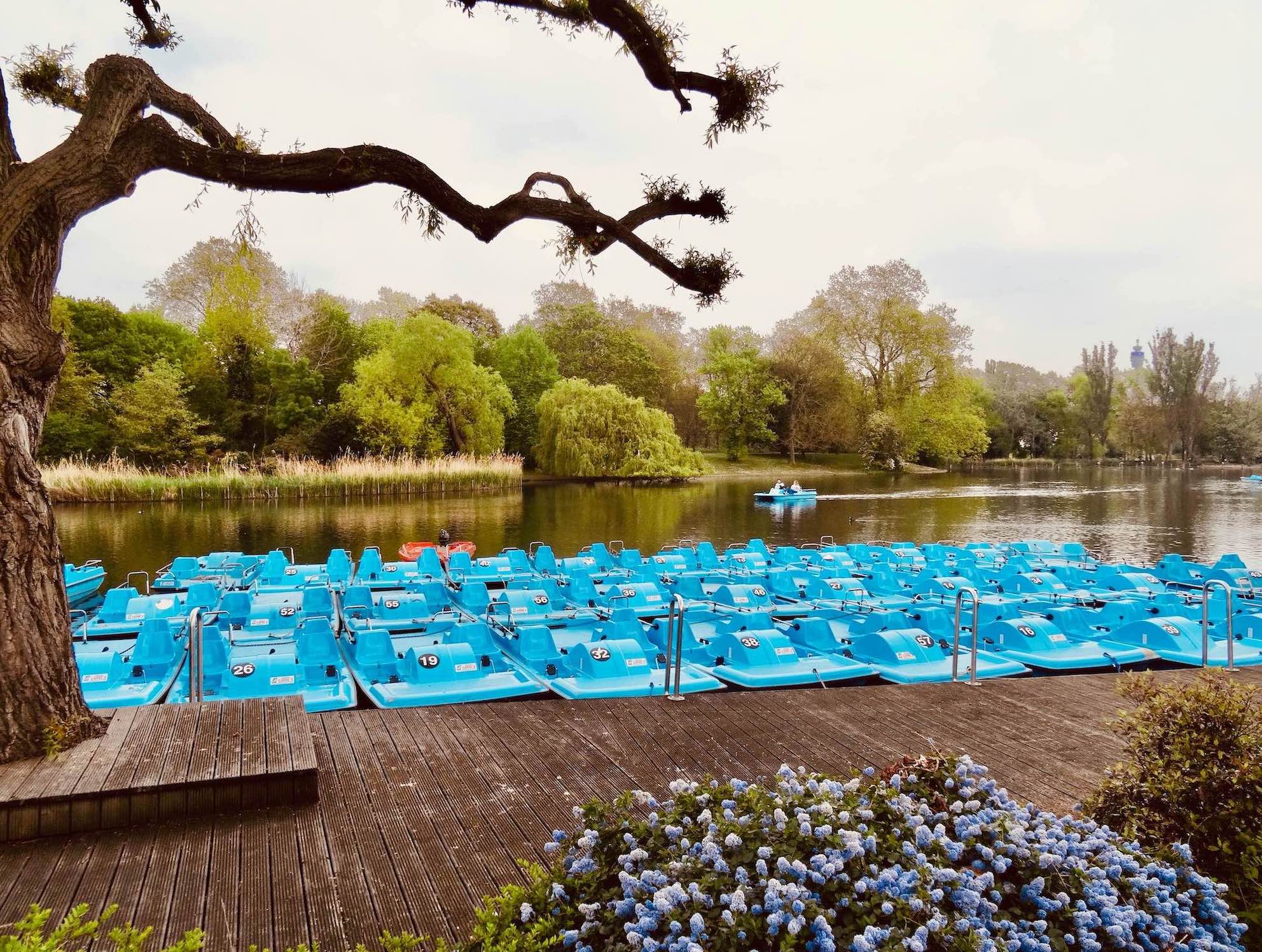 The Boating Lake Regent's Park London