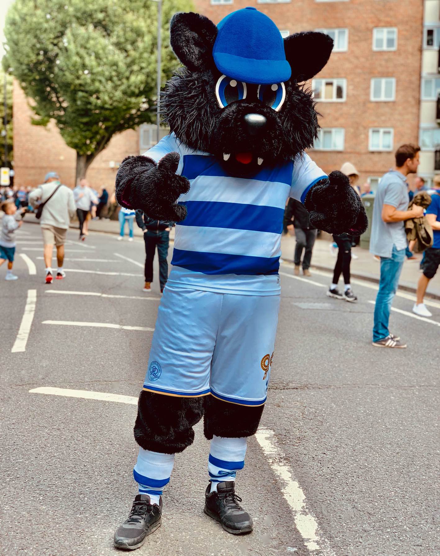 Jude the cat mascot Queens Park Rangers FC