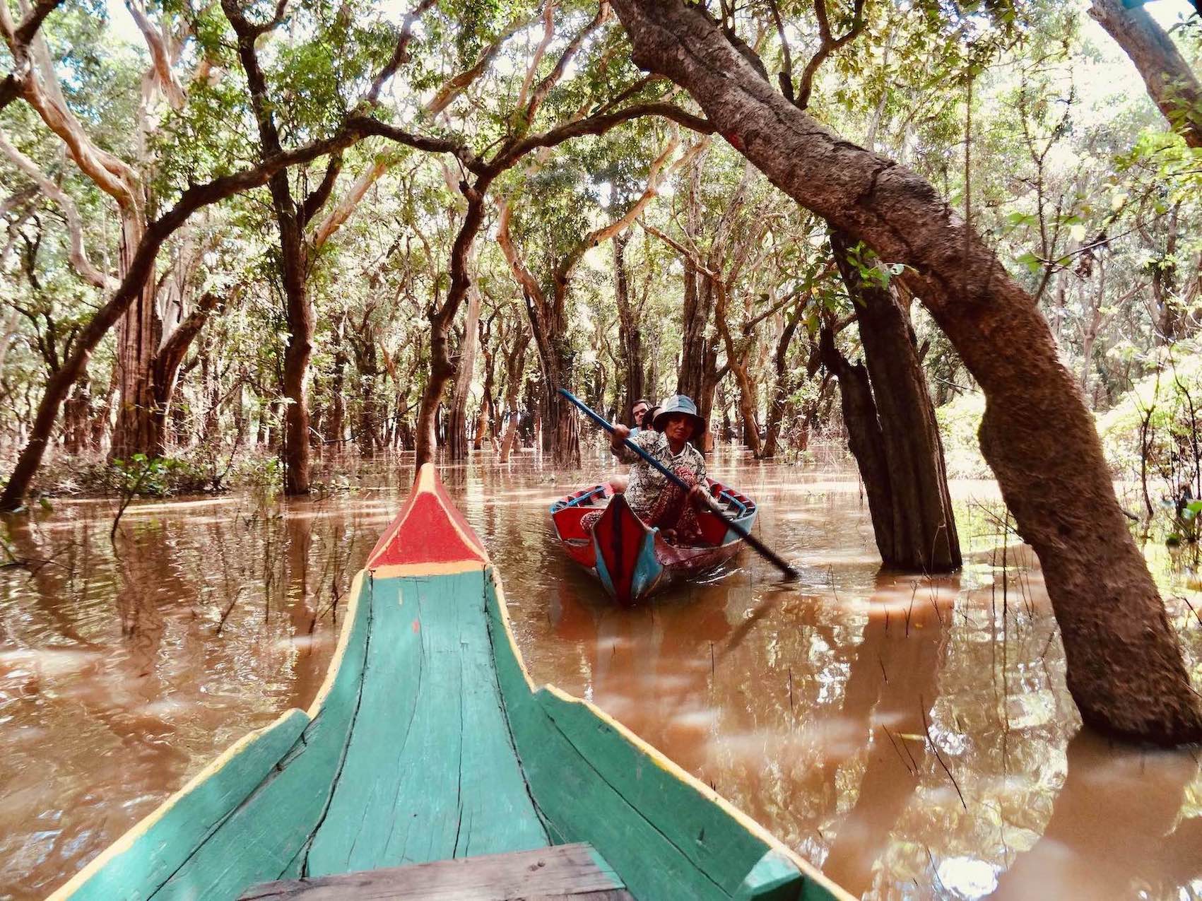 Canoe cruise through a floating mangrove forest in Siem Reap