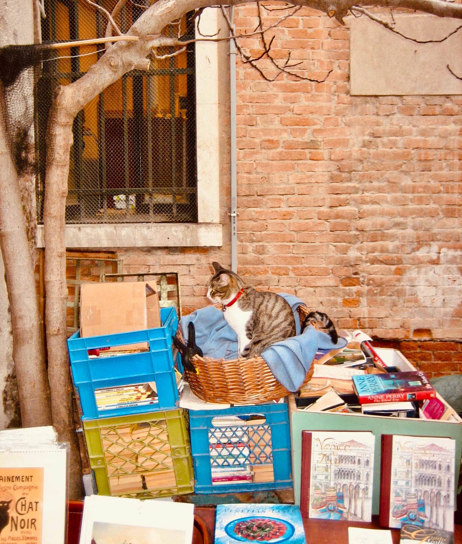 Second hand book market Once Upon a Time in Venice