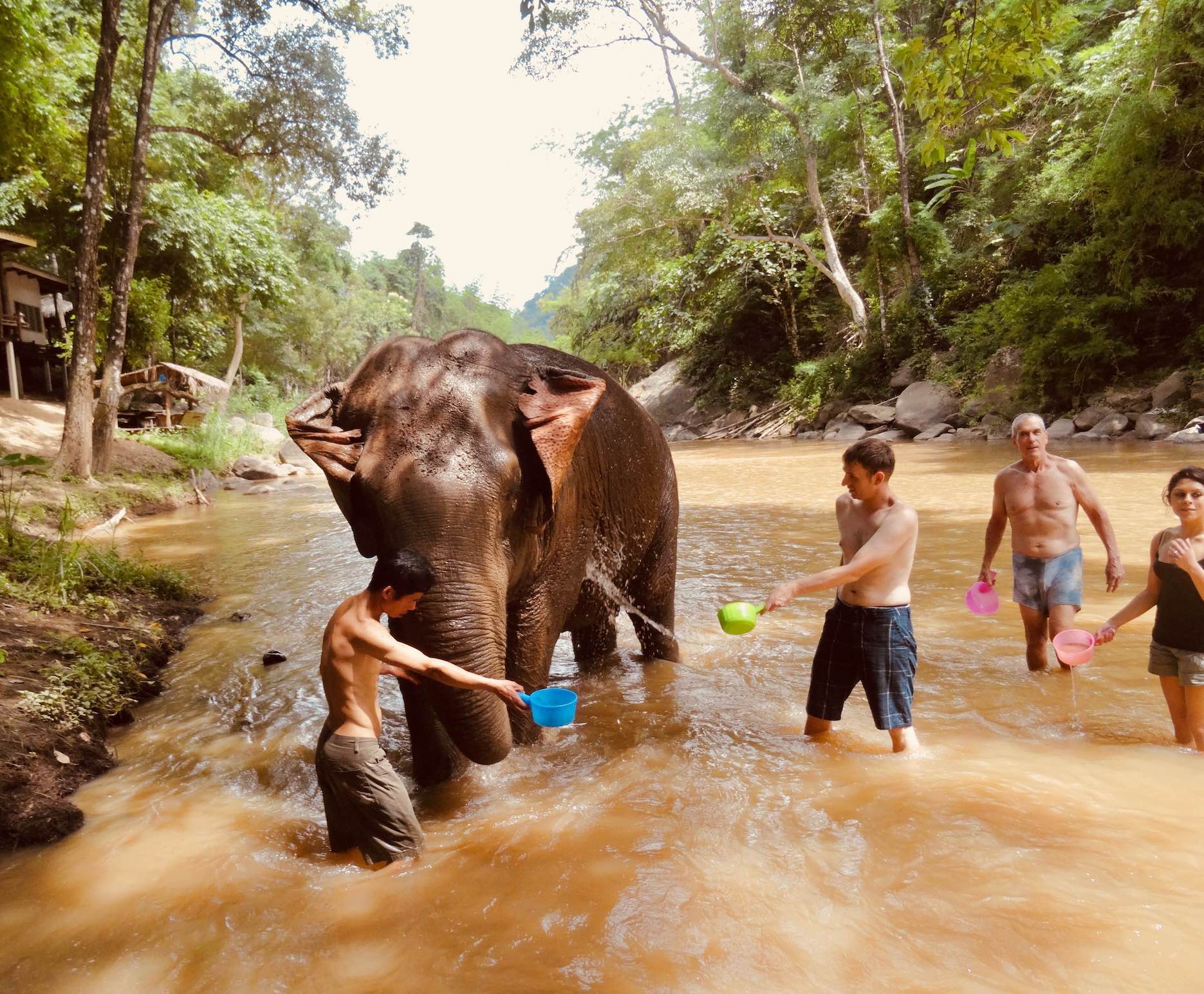 Water for Elephants Chiang Mai Thailand