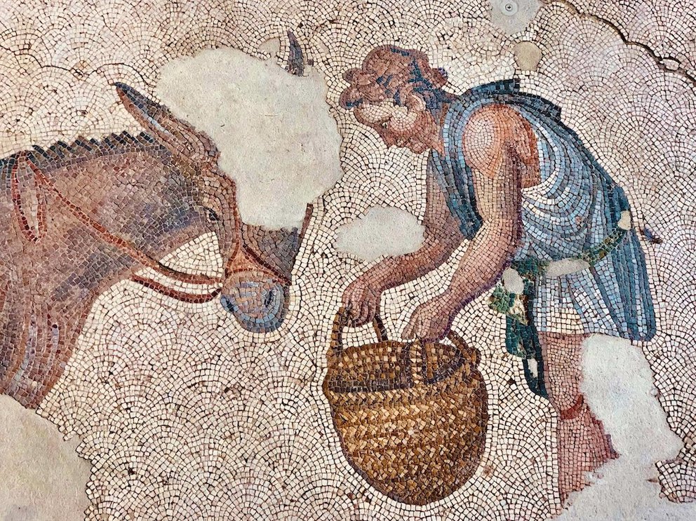 Woman feeding donkey Great Palace Mosaic Museum
