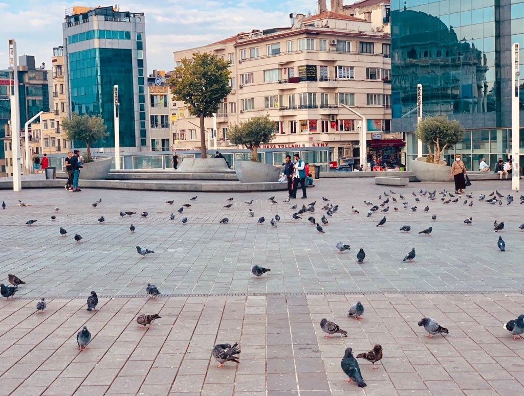 Pigeons on Taksim Square in Istanbul.