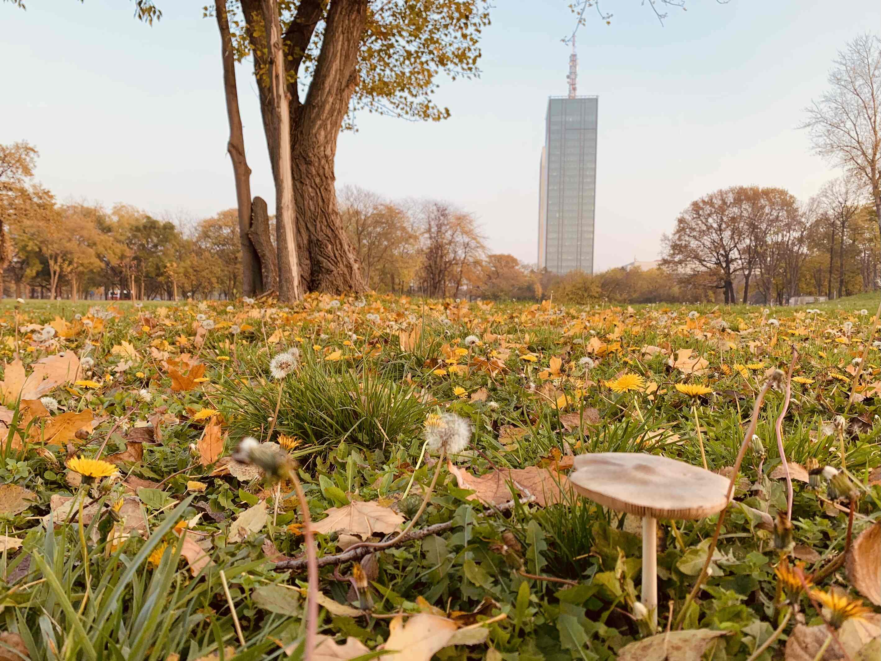 Park of Friendship New Belgrade.