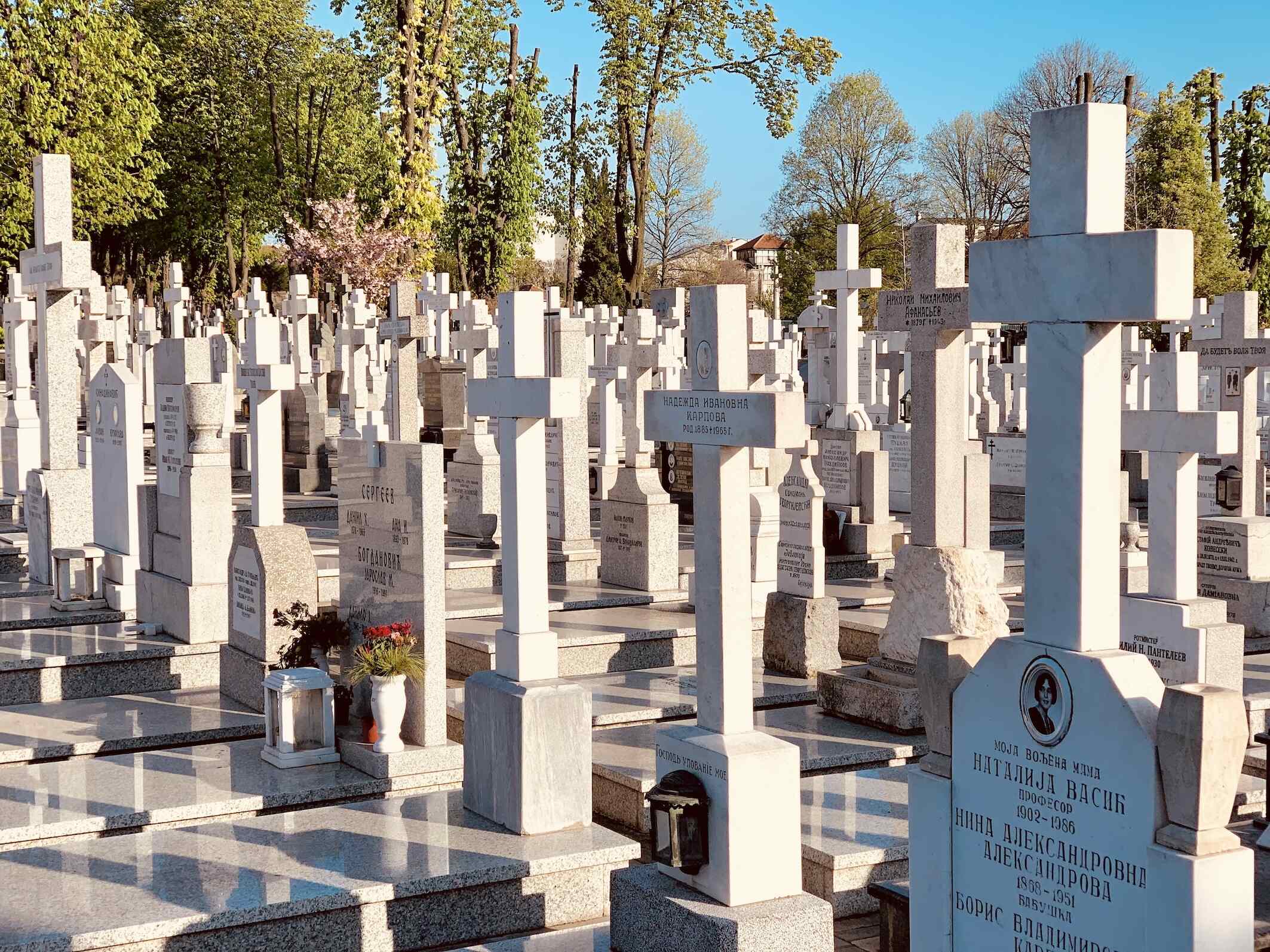 48000 graves at Belgrade New Cemetery.