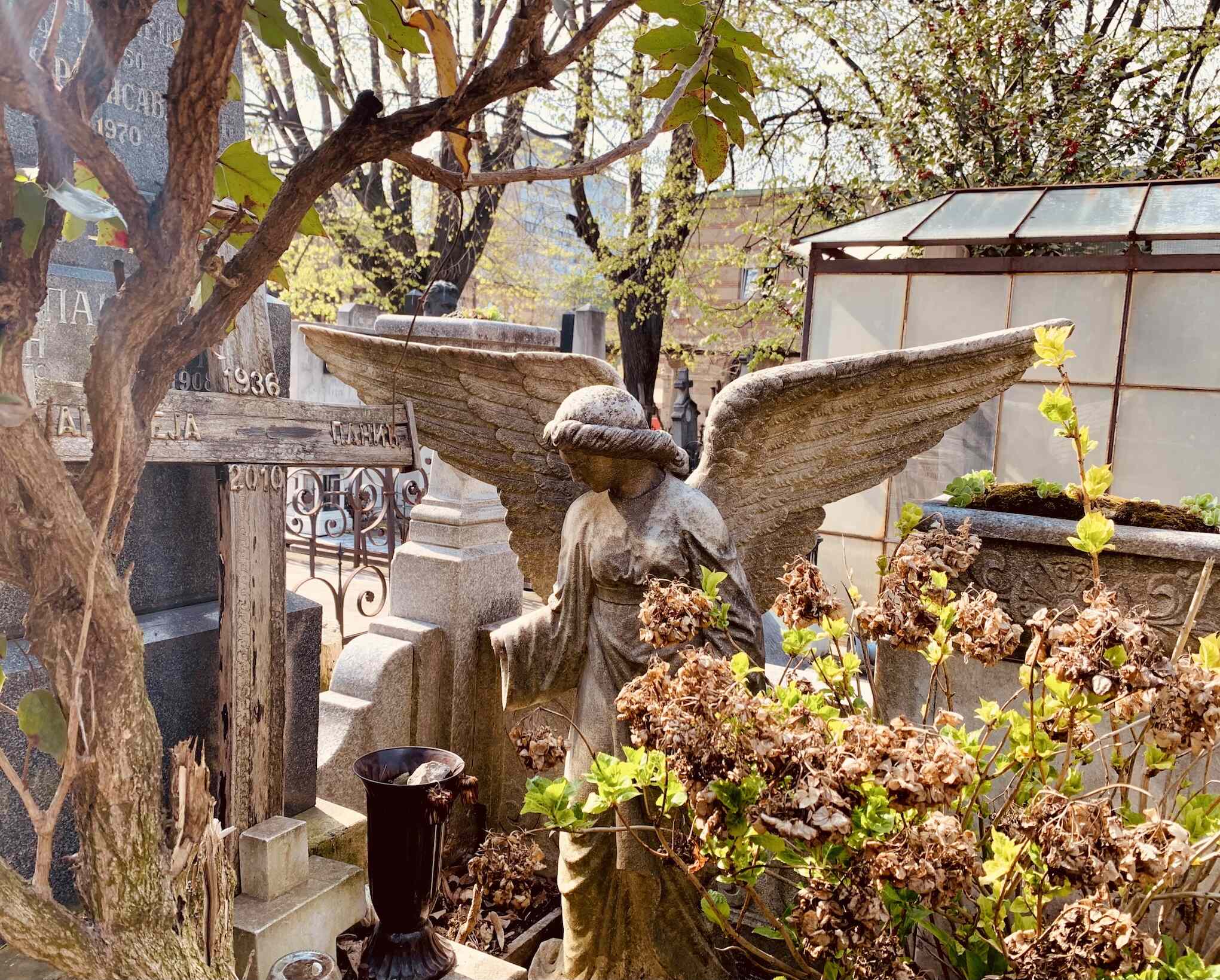 An angel sculpture at Belgrade New Cemetery