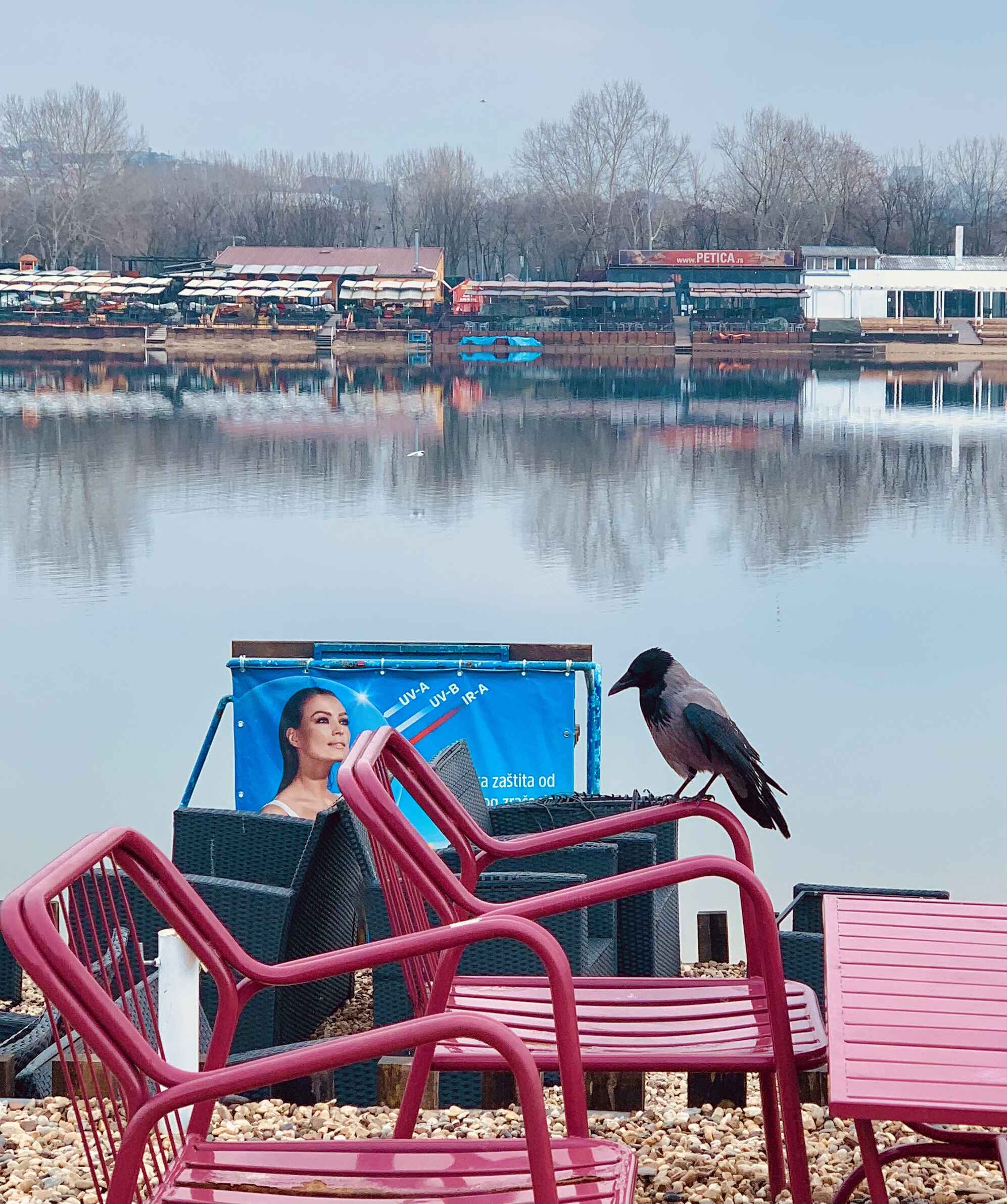Bird of doom Lake Sava.