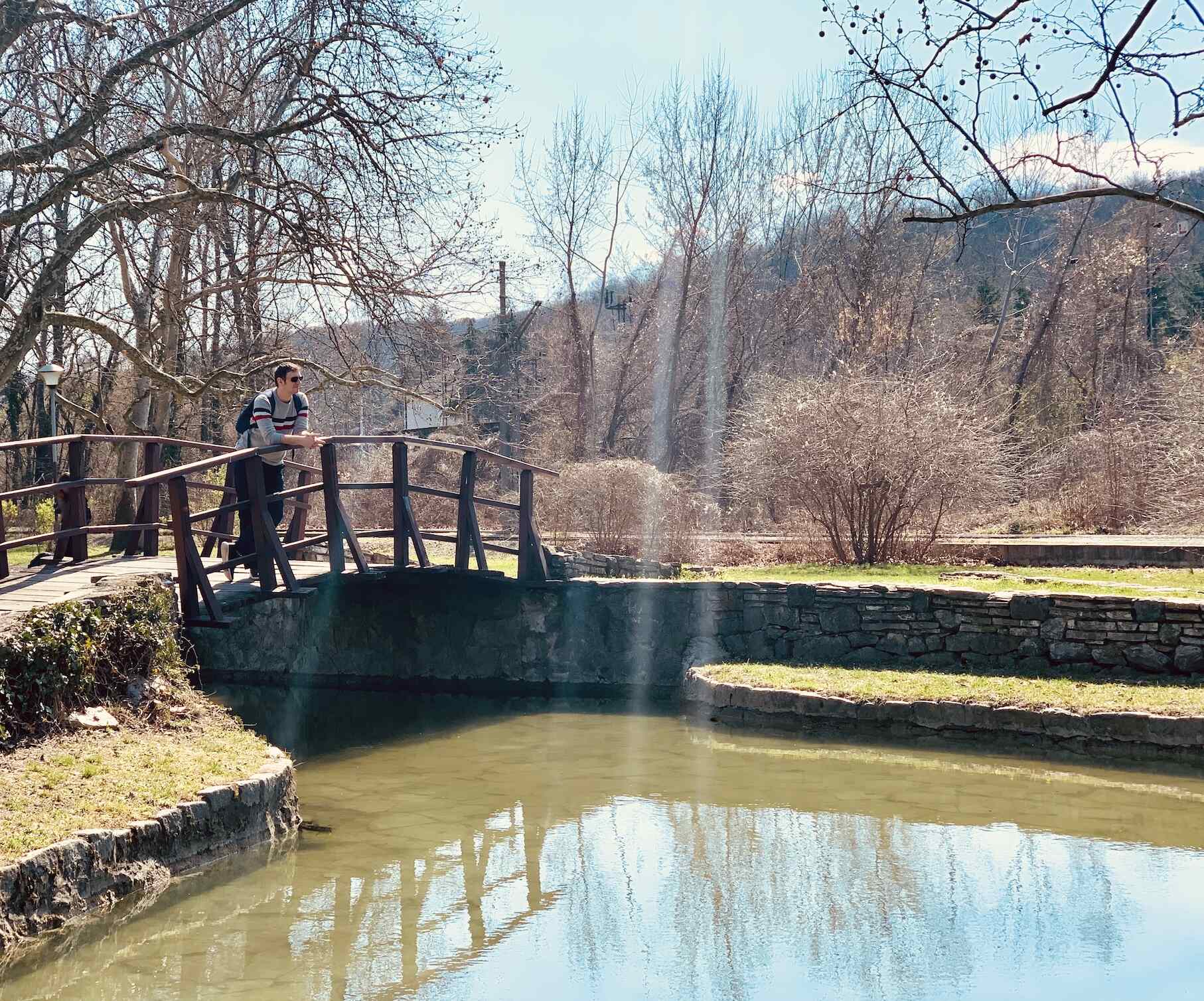 Pond and wooden bridge Topcider Park Belgrade