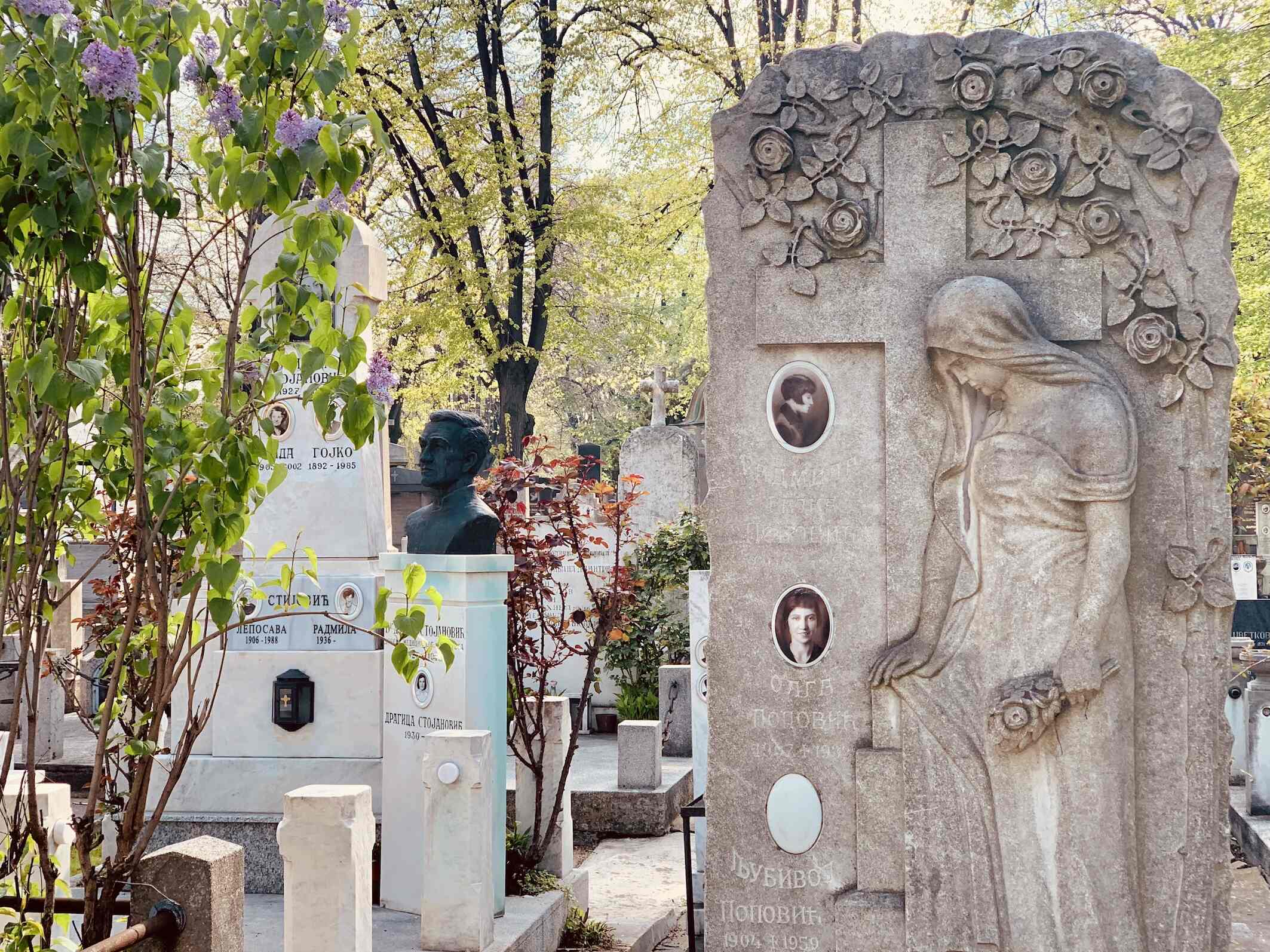 Silent sentinels at Belgrade New Cemetery