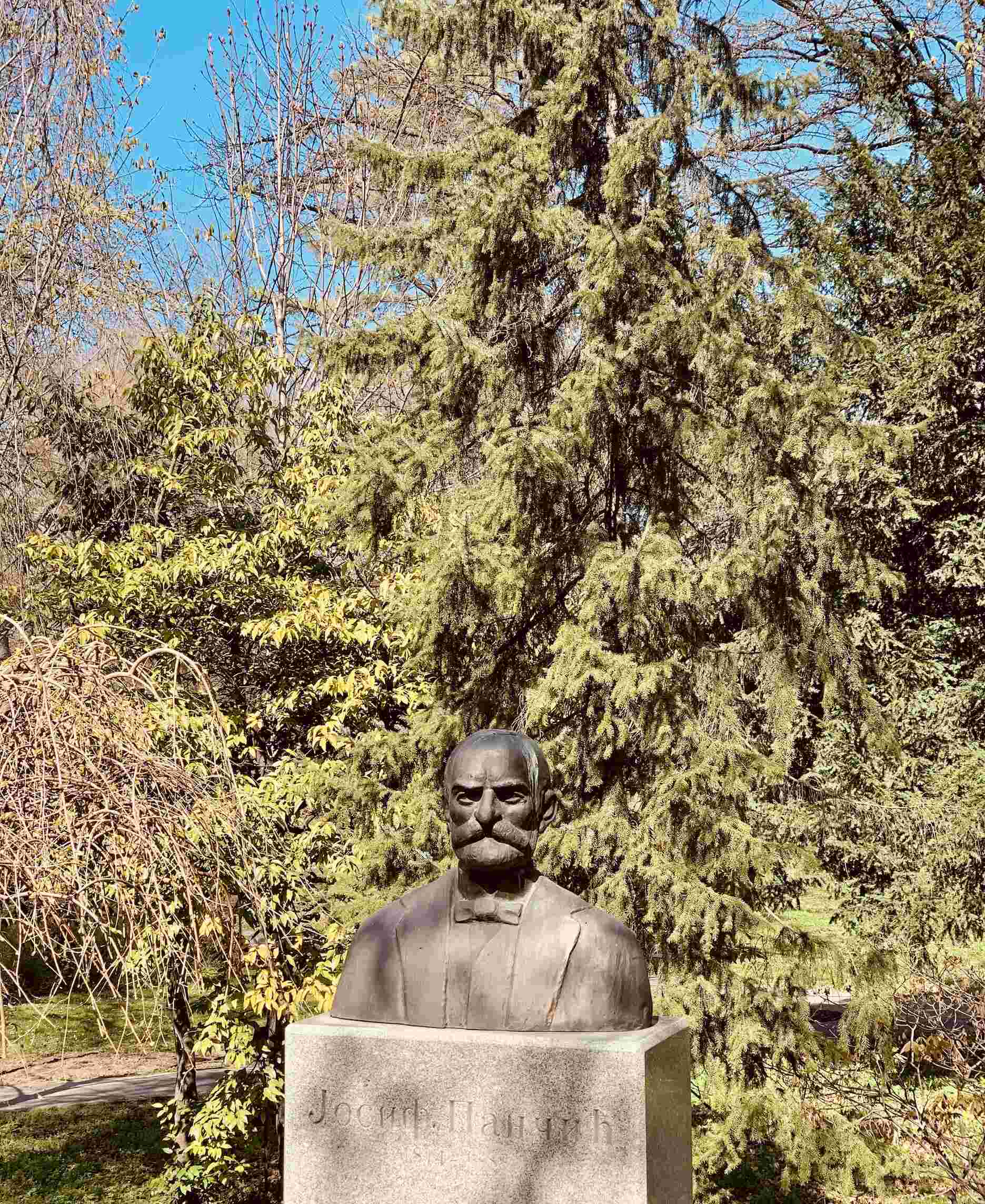 Statue of the Serbian botanist Josif Pančić